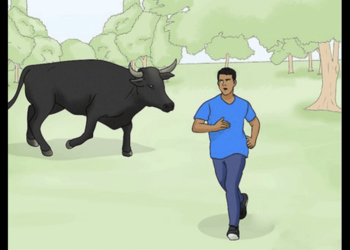 Woman ordered to pay Nu 365,000 after ox injures man in Thimphu, court applies Civil Liability Act